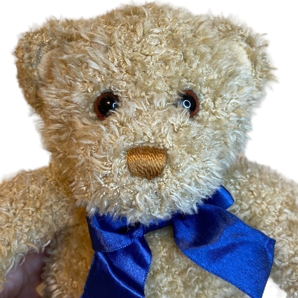 Gund Braun Thermoscan 9” Promo Bear with Blue ribbon 1986